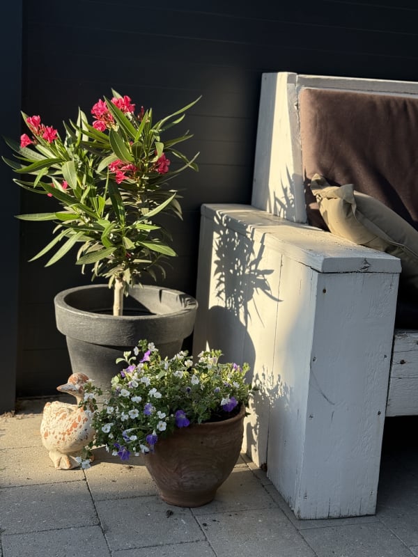 Vakantiehuis Cottage 9 Merksplas